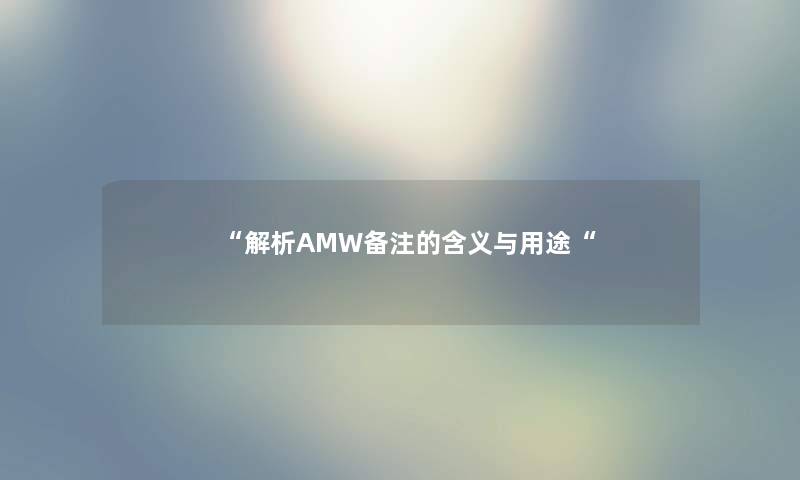 “解析AMW备注的含义与用途“