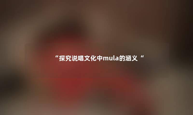 “探究说唱文化中mula的涵义“