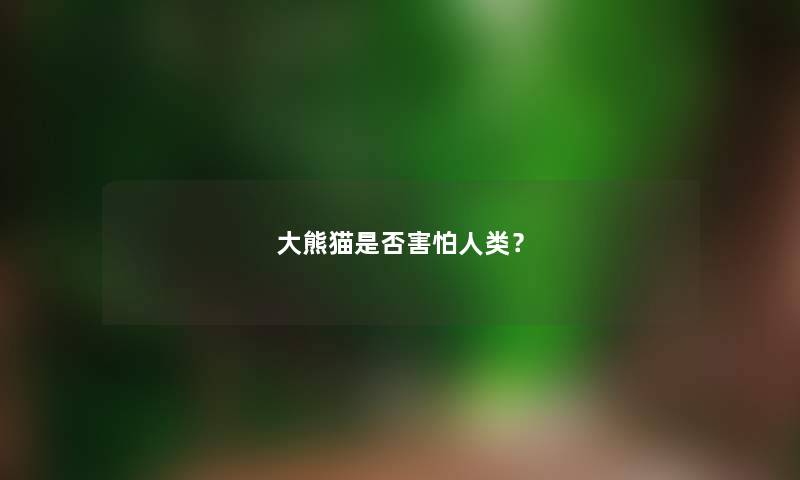 大熊猫是否害怕？