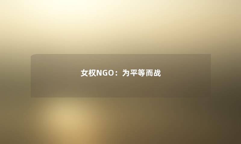 女权NGO：为平等而战