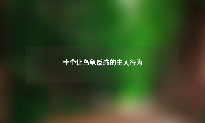 十个让乌龟反感的主人行为