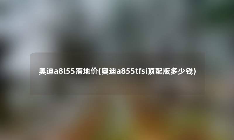 奥迪a8l55落地价(奥迪a855tfsi顶配版多少钱)