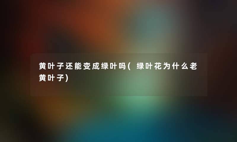 黄叶子还能变成绿叶吗(绿叶花为什么老黄叶子)