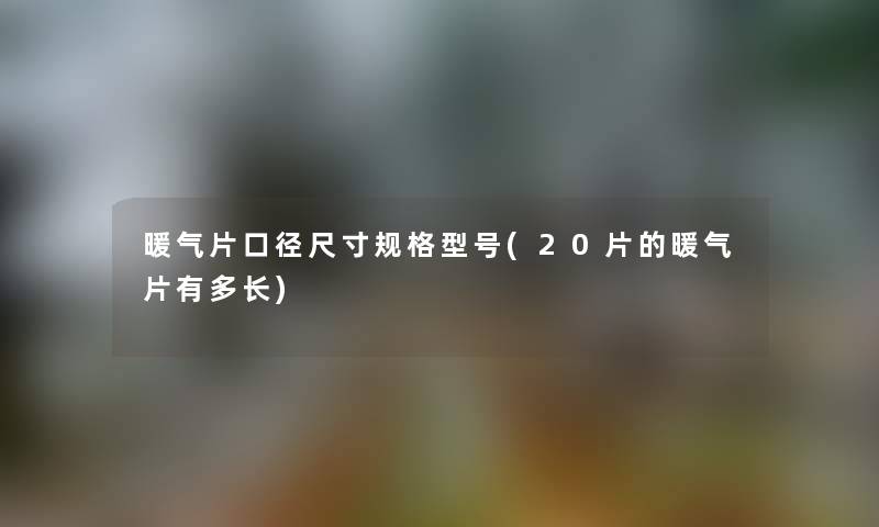 暖气片口径尺寸规格型号(20片的暖气片有多长)