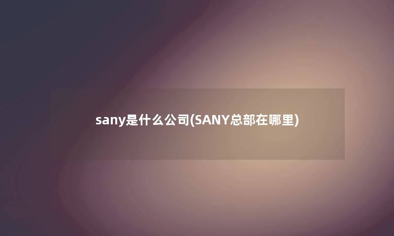 sany是什么公司(SANY总部在哪里)