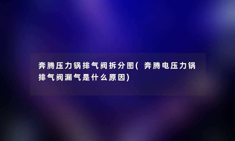 奔腾压力锅排气阀拆分图(奔腾电压力锅排气阀漏气是什么原因)