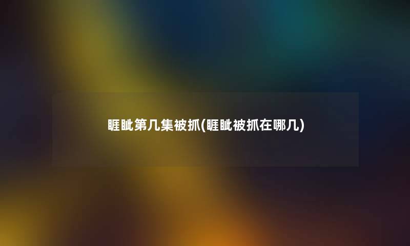 睚眦第几集被抓(睚眦被抓在哪几)