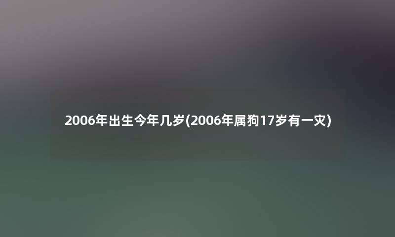 2006年出生今年几岁(2006年属狗17岁有一灾)