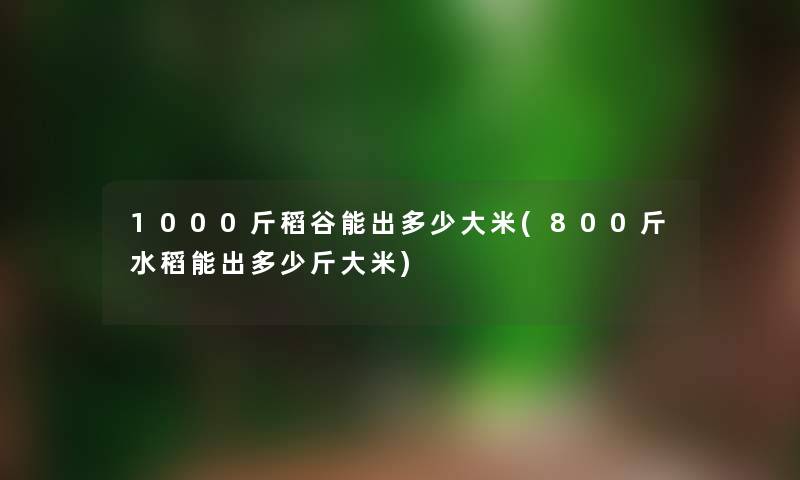 1000斤稻谷能出多少大米(800斤水稻能出多少斤大米)