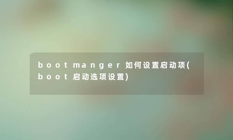 bootmanger如何设置启动项(boot启动选项设置)