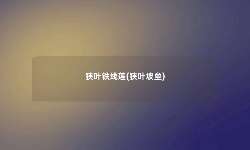 狭叶铁线莲(狭叶坡垒)