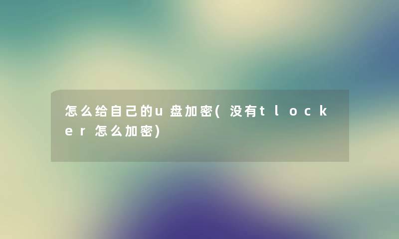 怎么给自己的u盘加密(没有tlocker怎么加密)