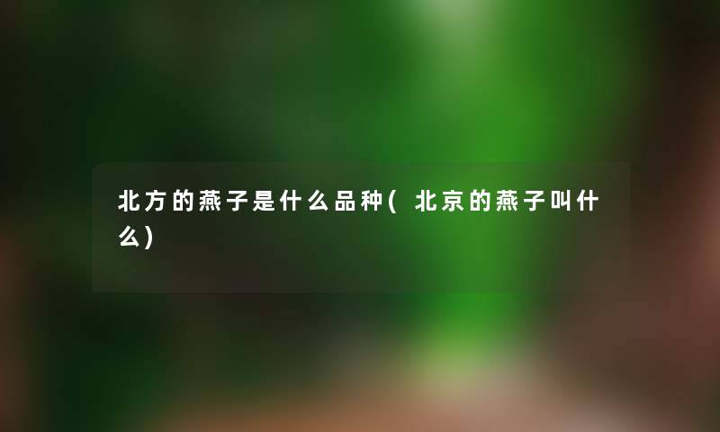 北方的燕子是什么品种(北京的燕子叫什么)