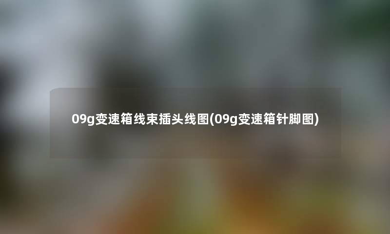 09g变速箱线束插头线图(09g变速箱针脚图)