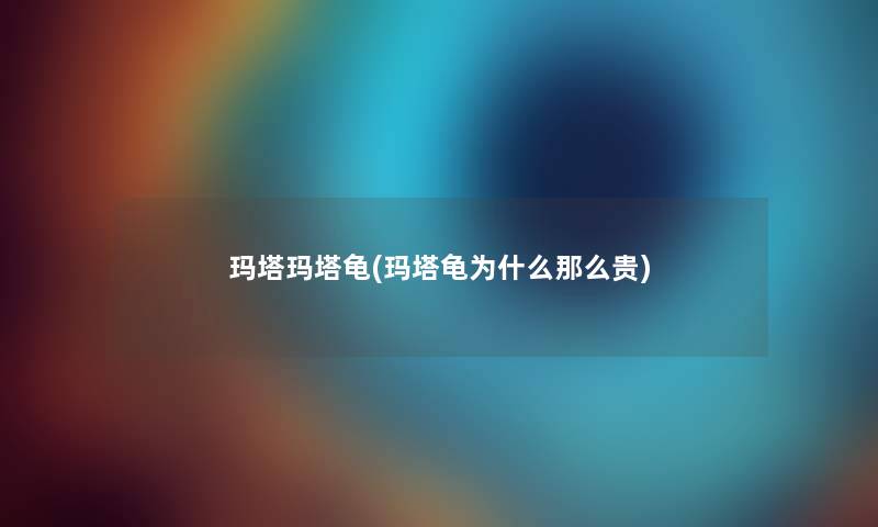 玛塔玛塔龟(玛塔龟为什么那么贵)