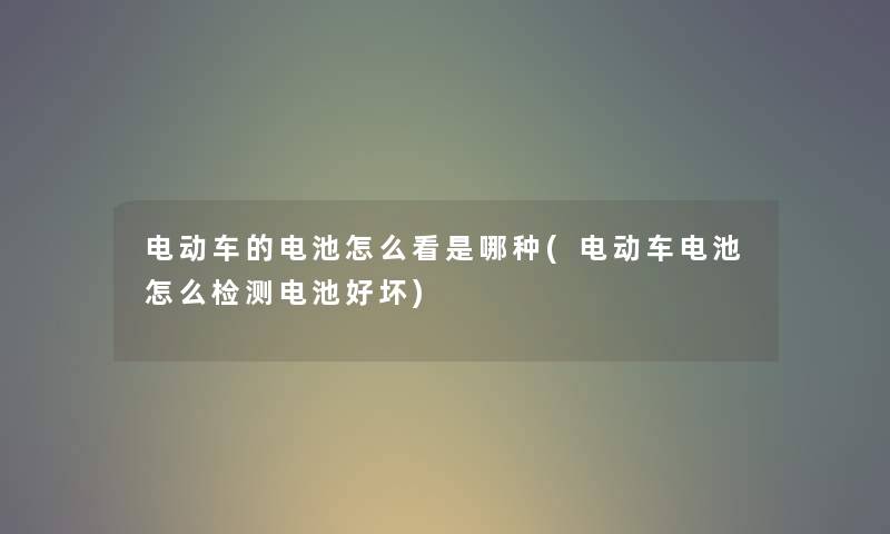 电动车的电池怎么看是哪种(电动车电池怎么检测电池好坏)