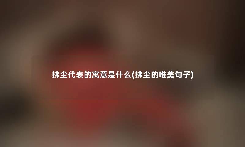 拂尘代表的寓意是什么(拂尘的唯美句子)