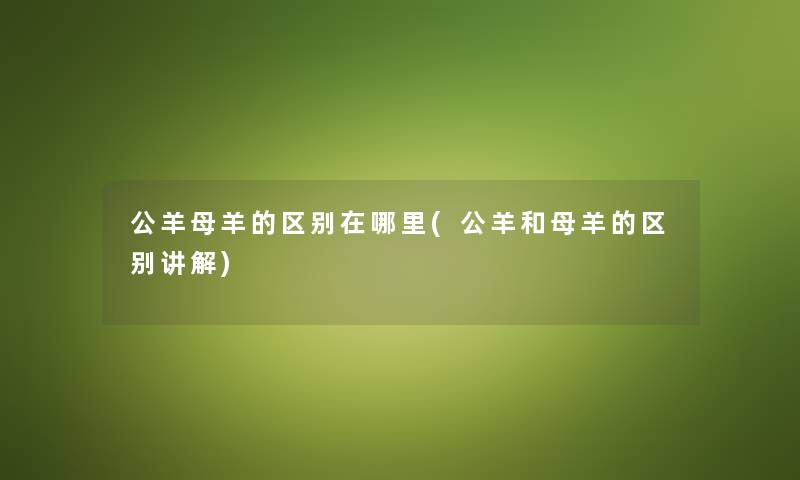 公羊母羊的区别在哪里(公羊和母羊的区别讲解)