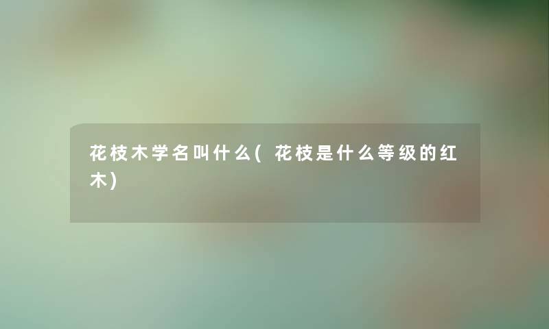 花枝木学名叫什么(花枝是什么等级的红木)