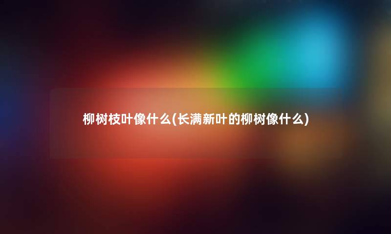 柳树枝叶像什么(长满新叶的柳树像什么)