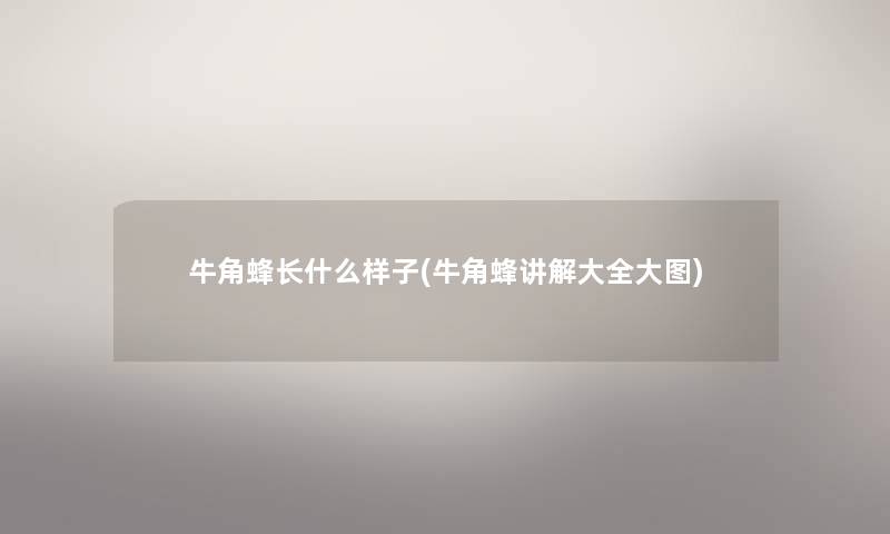 牛角蜂长什么样子(牛角蜂讲解大全大图)