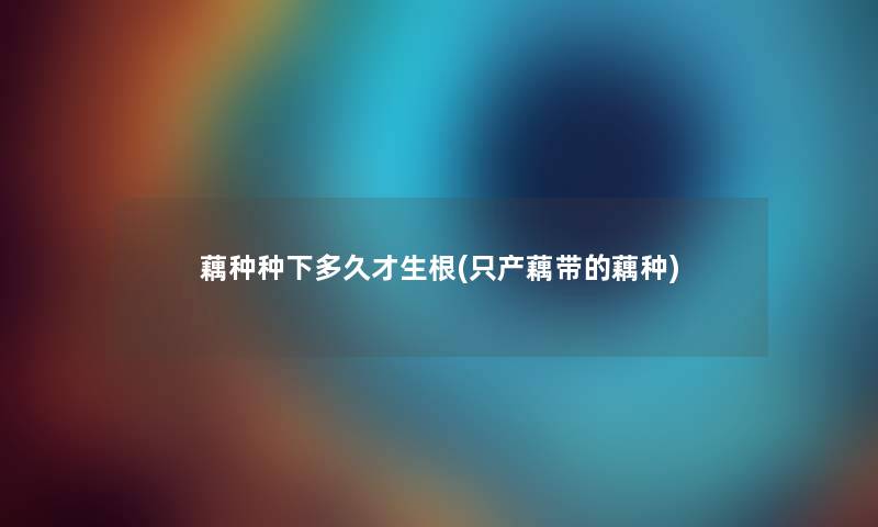 藕种种下多久才生根(只产藕带的藕种)