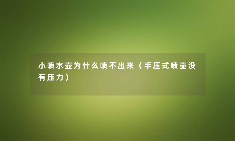 小喷水壶为什么喷不出来（手压式喷壶没有压力）