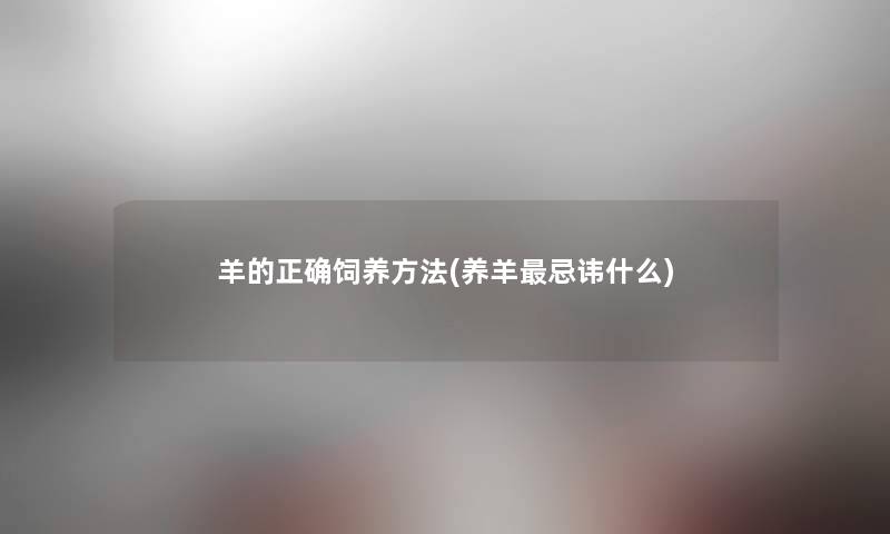 羊的正确饲养方法(养羊忌讳什么)