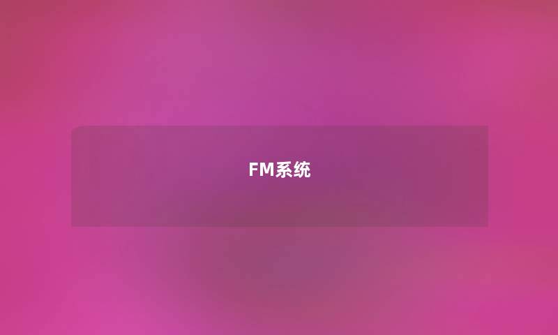 FM系统