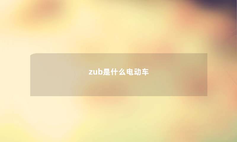 zub是什么电动车