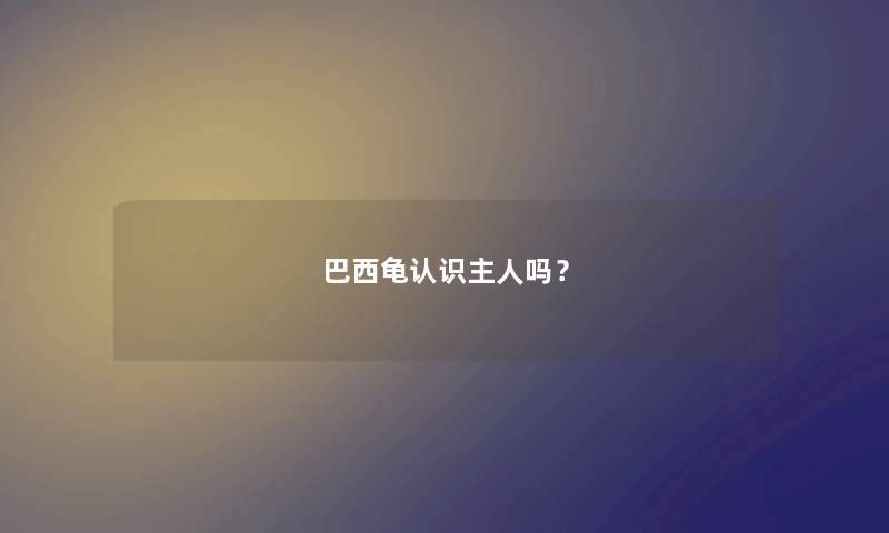 巴西龟认识主人吗？